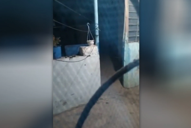 Paytaxtda ŞOK HADİSƏ: Yaşayış evlərini daşlayıb, sakinləri qorxudurlar