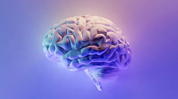 Yaddaşınızın möhkəm olması üçün bu qidaları yeyin