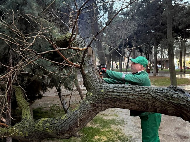 Bakıda intensiv yağışlar fəsadlar törətdi: qurumlar gücləndirilmiş rejimdə işləyir