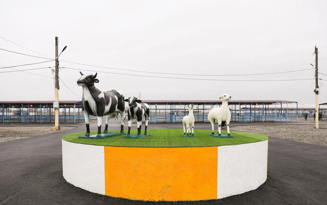 Xəstəliyə görə bağlanan Bərdə heyvan bazarı açılır - Video