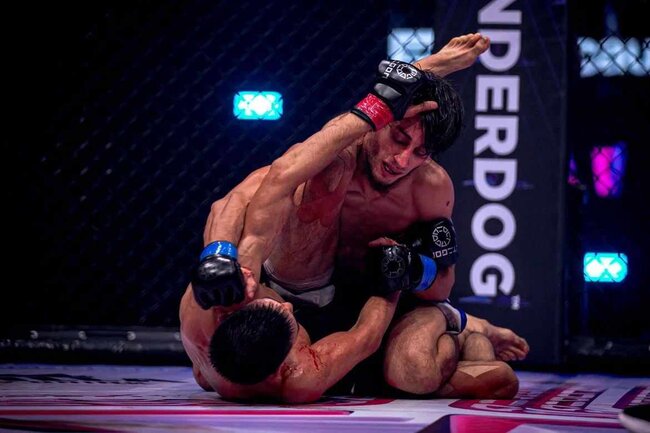 Fərid Əlibabazadə "Octagon" liqasında çempion olub - FOTO