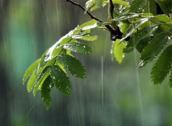 Bakıda hava qəfil PİSLƏŞƏCƏK? - Bu ayın sonuna kimi...