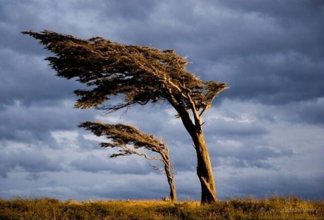 FHN-dən güclü küləklə əlaqədar əhaliyə MÜRACİƏT