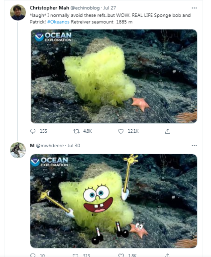 Okeanın dibində həqiqi Süngər Bob və Patrik tapıldı - FOTO