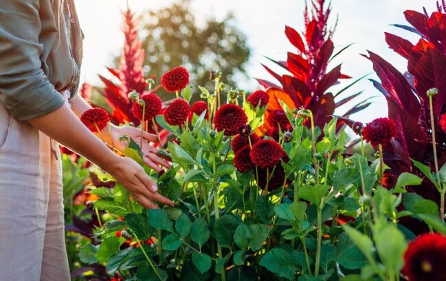 5 gün ardıcıl iş olmayacaq