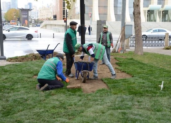 Bakıda 550 küçə dezinfeksiya edildi - FOTO