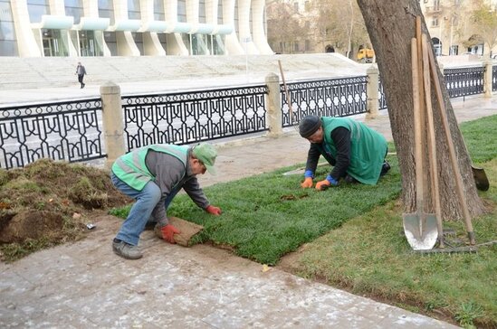 Bakıda 550 küçə dezinfeksiya edildi - FOTO
