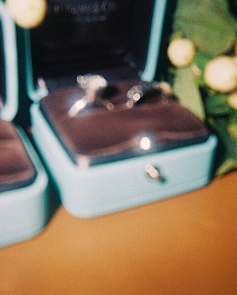 İlhan Mansız azərbaycanlı xanımla evləndi - Fotolar