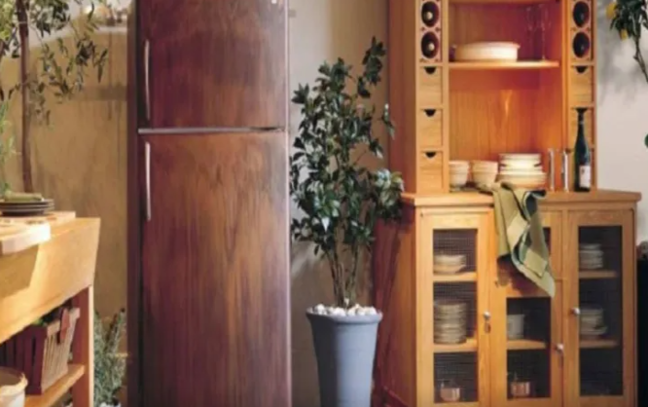 Bunu soyuducunun üstünə qoyun, eviniz pulla dolacaq