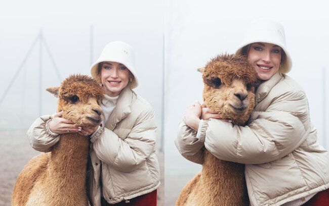 Prezidentin gəlininin alpaka fermasından maraqlı - Fotoları