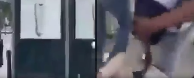 Parisdə üç qadını bıçaqlayan şəxsdən şok ifadə: "Bunu etməyimi Allah əmr etdi"