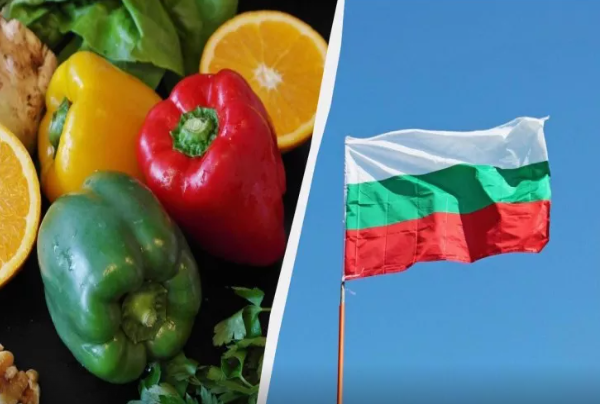 Bolqarıstandan deyil: Bolqar bibəri niyə bu cür adlandırılıb?