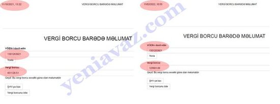 Ramiz Mehdiyevin həyat yoldaşının onminlərlə borcu olub - FOTOFAKT