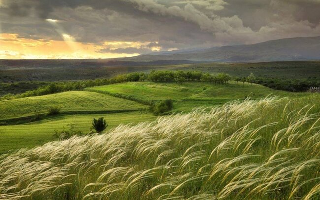 Bu gün Azərbaycanda Yel çərşənbəsi qeyd olunur