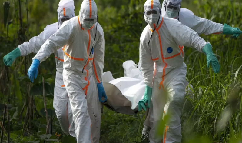 Həkimlər xəbərdarlıq etdi: Bu heyvanla təmas etməyin!