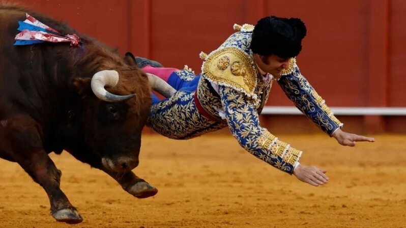 Arenada dəhşətli anlar: Məşhur matador boğanın hücumu nəticəsində ağır yaralandı - VİDEO
