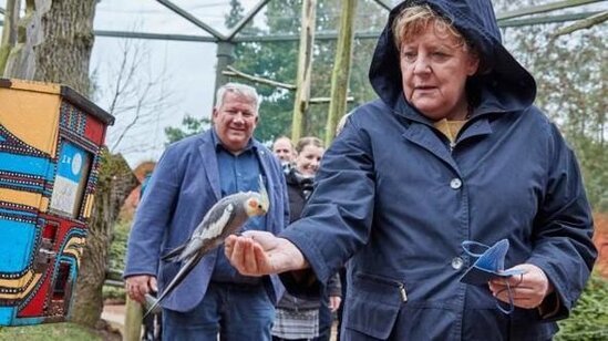 Merkel parkda quşları bəsləyərkən tutuquşunun "hücumuna" məruz qaldı - FOTO