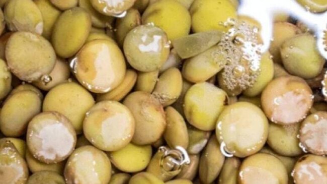 Yumurtadan qat-qat çox protein bərpa edir: Yaşıl mərcini yeyən xəstəlik nədir bilmir