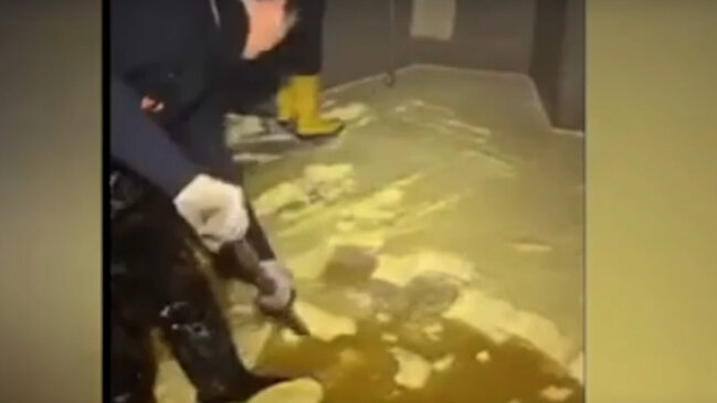 Kərə yağı istehsalı ilə bağlı qalmaqallı görüntülər (VİDEO)