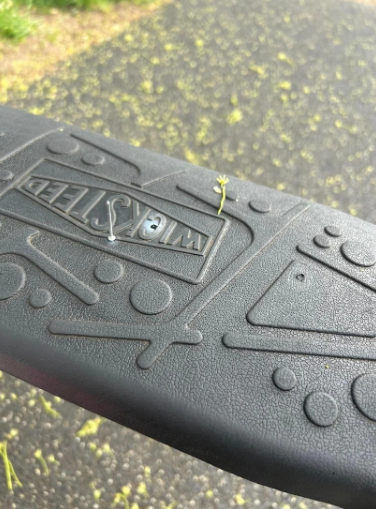 Parkdakı görüntülər QORXU YARATDI: Uşaqları təhlükə gözləyir - FOTOLAR