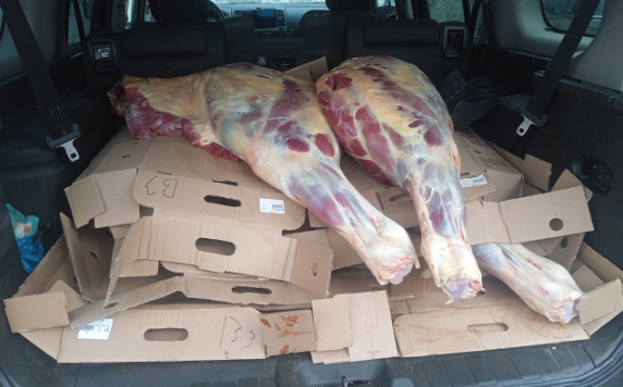 Biləsuvardan Bakıya 227 kq at əti aparmaq istədi - Yolda üstü açıldı