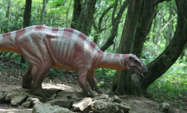 Rusiyalı alimdən sensasiyalı kəşf: Böyük Qafqazın yerində əvvəllər tropik ada olub