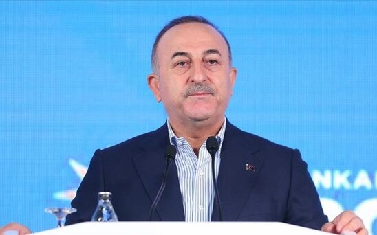 Çavuşoğlu: "Türk birliyinin dərdi dərdimizdir, dünya bunu Qarabağ zəfərində gördü"