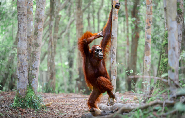 Gülmək istəyirsinizsə, bu fotolara baxın