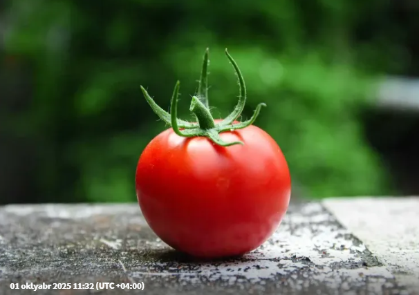 Orqanizmimiz pomidor qəbuluna necə reaksiya verir?