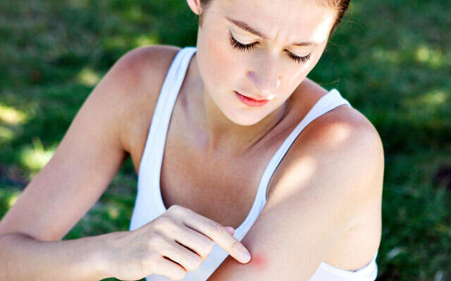 Əgər bu qan qrupuna aidsinizsə yayda DİQQƏTLİ OLUN