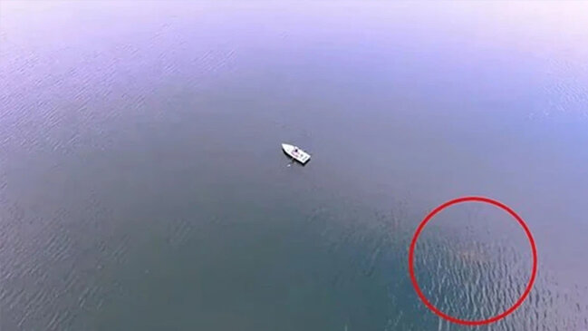 Suyun altında iki əsrlik bir sirr: Amerikanın "Nessi"si kameraya düşdü