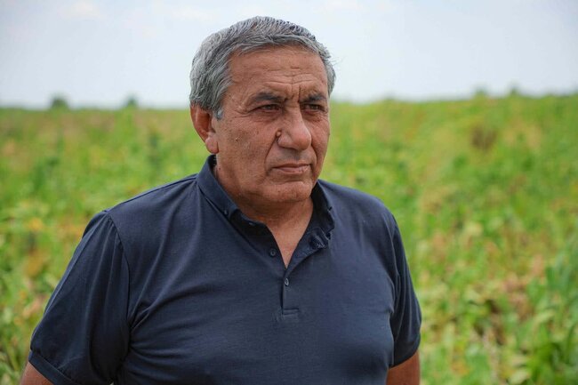 "Azərsun Holdinq" şəkər çuğunduru emalı həcmini 800 min tona qaldıracaq