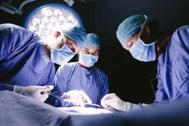 Qaraciyər, böyrək, sümük iliyi və ya hematopoetik kök hüceyrələrin transplantasiyası icbarı sığortayla olacaq