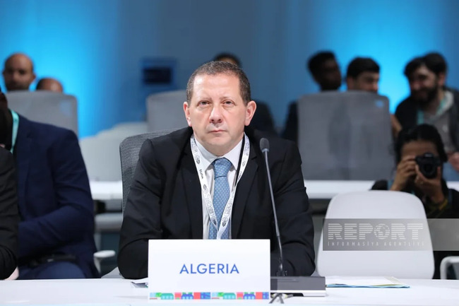Farid Dahmane: WUF13 Afrika şəhərləşmə prioritetlərinin dünyaya çatdırılması üçün vacib platformadır