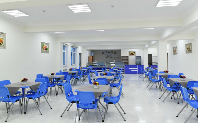 20 nömrəli məktəbdə 7 şagirdin nədən zəhərləndiyi açıqlandı