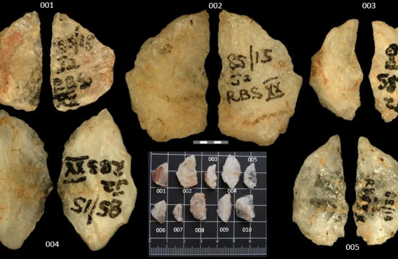 Cənubi Afrikada ən qədim zəhərli silahlar aşkarlanıb