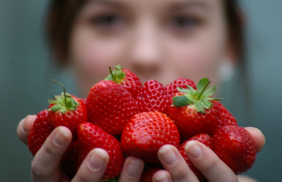 Çiyələyi nə qədər yemək olar? - Gündəlik norma