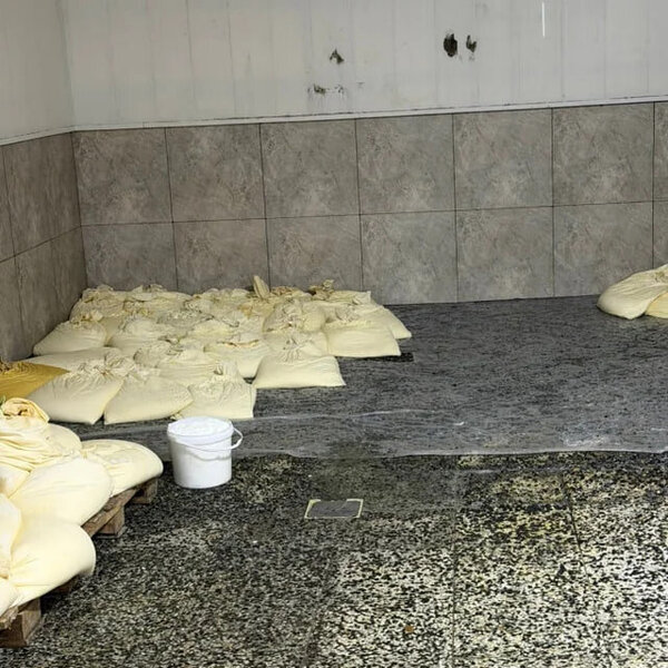 Bakıda süd məhsullarının istehsalı müəssisəsinin fəaliyyəti məhdudlaşdırıldı - FOTO