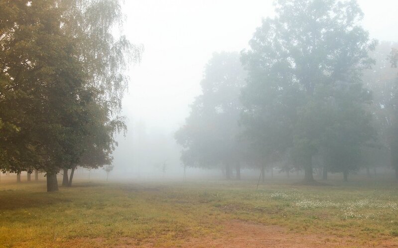 Bakıda duman olacaq, bəzi rayonlara yağış, qar yağacaq