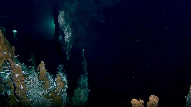 Dünyanın ən böyük "zombi qurdlar" məskəni: Bu, hansı mağaradır?