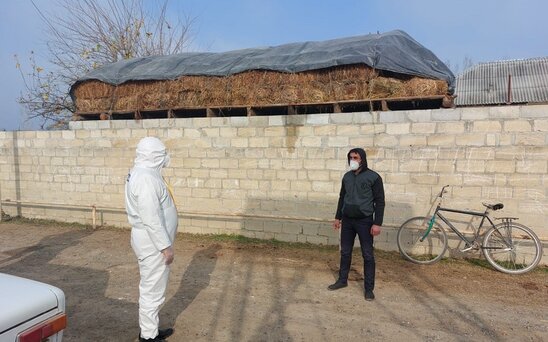 Sabirabadda koronavirus xəstəsinin törətdiyi əməl araşdırılır