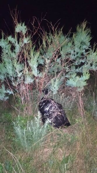 Azərbaycan sərhədində İNSİDENT: Qaçaqmalçılar hərbçilərimizə atəş açdılar - FOTO