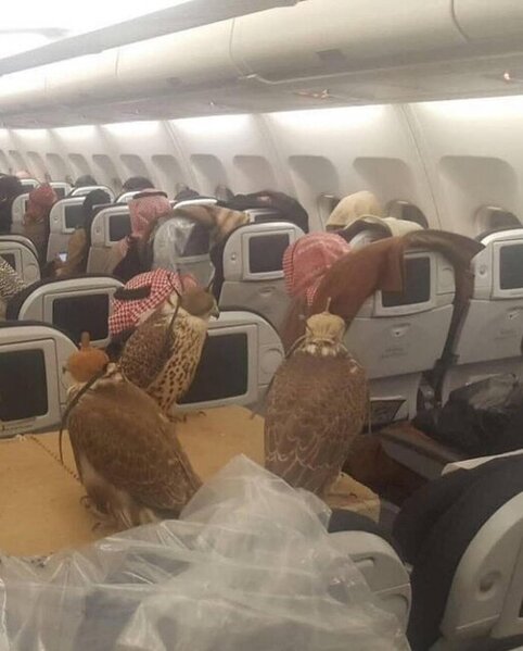 Quşları üçün 80 bilet aldı - FOTO