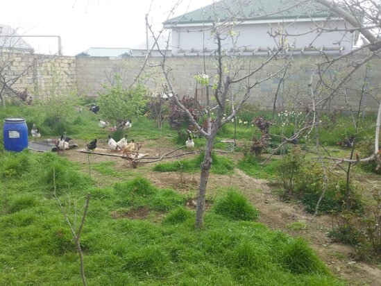 Müşfiqabad qəsəbəsində postun yaxınlığında 2 mərtəbəli həyət evi satılır!