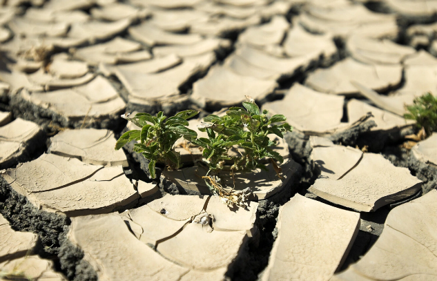 Ekspert qlobal istiləşmənin əsas səbəbini AÇIQLADI