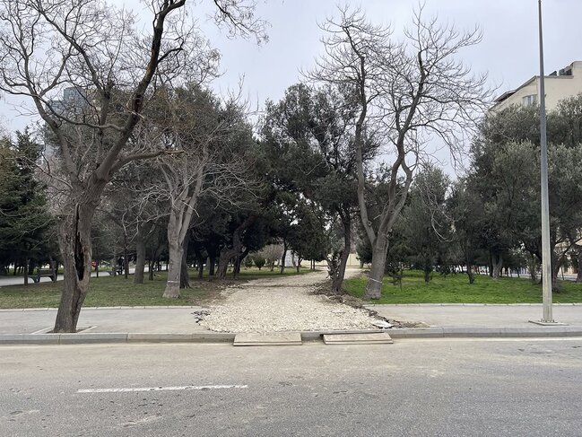 "Zorge" parkının içindən yol salınıb? - Fotolar