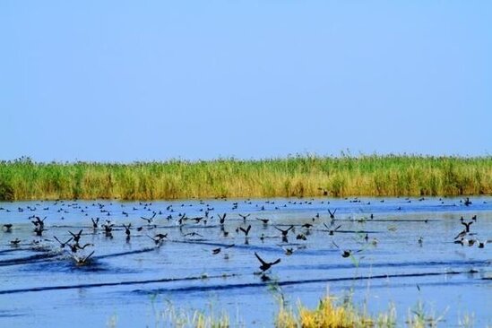 Vətəndaşların NƏZƏRİNƏ: Bazar günü təbiət qoynunda pulsuz istirahət etmək imkanı var - FOTO