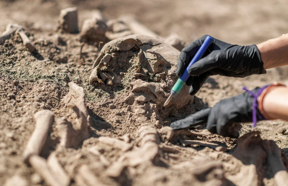 Danimarka arxeoloqları torpaq altındakı artefaktları tapan kamera yaradıblar