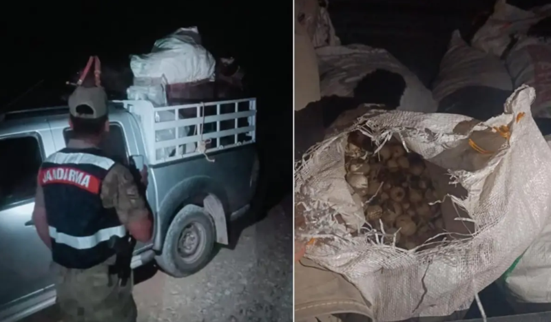 Dağdan sarımsaq yığdıqları üçün 30 min manat cərimə olundular