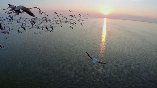 Vətəndaşların NƏZƏRİNƏ: Bazar günü təbiət qoynunda pulsuz istirahət etmək imkanı var - FOTO